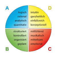 Vier typische Denkstile im HBDI